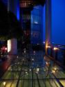 Banyan Tree02.jpg
